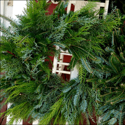 Mixed Green Wreath 24-26" - Wreath_Mixed