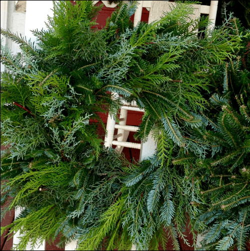 Mixed Green Wreath 16-18"